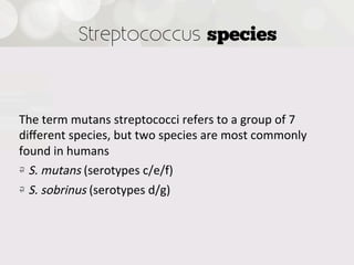 Streptococcus species



The  term  mutans  streptococci  refers  to  a  group  of  7  
diﬀerent  species,  but  two  species  are  most  commonly  
found  in  humans
!   S.  mutans  (serotypes  c/e/f)
!   S.  sobrinus  (serotypes  d/g)
 