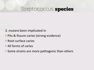 Streptococcus species



S.  mutans  been  implicated  in  
!   Pits  &  ﬁssure  caries  (strong  evidence)
!   Root  surface  caries
!   All  forms  of  caries
!   Some  strains  are  more  pathogenic  than  others
 