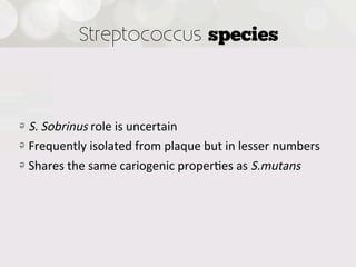 Streptococcus species



!   S.  Sobrinus  role  is  uncertain
!   Frequently  isolated  from  plaque  but  in  lesser  numbers
!   Shares  the  same  cariogenic  proper4es  as  S.mutans


 