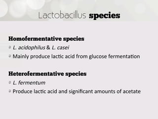 Lactobacillus species

Homofermentative species
!   L.  acidophilus  &  L.  casei
!   Mainly  produce  lac4c  acid  from  glucose  fermenta4on

Heterofermentative species
!   L.  fermentum
!   Produce  lac4c  acid  and  signiﬁcant  amounts  of  acetate


 