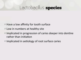 Lactobacillus species


!   Have  a  low  aﬃnity  for  tooth  surface
!   Low  in  numbers  at  healthy  site
!   Implicated  in  progression  of  caries  deeper  into  den4ne  
    rather  than  ini4a4on
!   Implicated  in  ae4ology  of  root  surface  caries


 