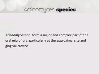 Actinomyces species



Ac8nomyces  spp.  form  a  major  and  complex  part  of  the
oral  microﬂora,  par4cularly  at  the  approximal  site  and
gingival  crevice


 