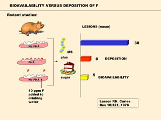 FHA
No FHA
No FHA
F F
10 ppm F
added to
drinking
water
LESIONS (mean)
MS
8
30
5
DEPOSITION
BIOAVAILABILITY
Larson RH. Caries
Res 10:321, 1976
sugar
BIOAVAILABILITY VERSUS DEPOSITION OF F
Rodent studies:
plus
 