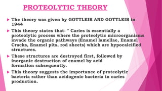 PROTEOLYTIC THEORY
 The theory was given by GOTTLEIB AND GOTTLEIB in
1944
 This theory states that- " Caries is essentially a
proteolytic process where the proteolytic microorganisms
invade the organic pathways (Enamel lamellae, Enamel
Cracks, Enamel pits, rod sheets) which are hypocalcified
structures.
 These structures are destroyed first, followed by
inorganic destruction of enamel by acid
formation subsequently.
 This theory suggests the importance of proteolytic
bacteria rather than acidogenic bacteria in caries
production.
 