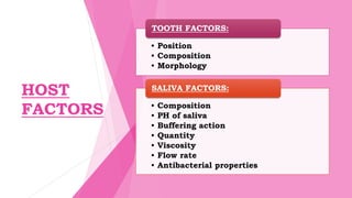 HOST
FACTORS
• Position
• Composition
• Morphology
TOOTH FACTORS:
• Composition
• PH of saliva
• Buffering action
• Quantity
• Viscosity
• Flow rate
• Antibacterial properties
SALIVA FACTORS:
 
