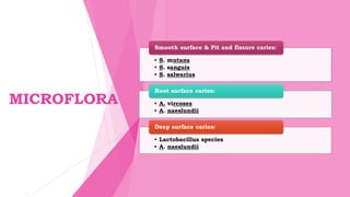 MICROFLORA
• S. mutans
• S. sanguis
• S. salwarius
Smooth surface & Pit and fissure caries:
• A. vircoses
• A. naeslundii
Root surface caries:
• Lactobacillus species
• A. naeslundii
Deep surface caries:
 