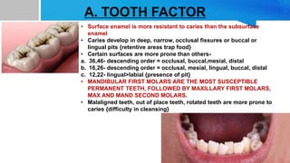 A. TOOTH FACTOR
• Surface enamel is more resistant to caries than the subsurface
enamel
• Caries develop in deep, narrow, occlusal fissures or buccal or
lingual pits {retentive areas trap food}
• Certain surfaces are more prone than others-
a. 36,46- descending order = occlusal, buccal,mesial, distal
b. 16,26- descending order = occlusal, mesial, lingual, buccal, distal
c. 12,22- lingual>labial {presence of pit}
• MANDIBULAR FIRST MOLARS ARE THE MOST SUSCEPTIBLE
PERMANENT TEETH, FOLLOWED BY MAXILLARY FIRST MOLARS,
MAX AND MAND SECOND MOLARS.
• Malaligned teeth, out of place teeth, rotated teeth are more prone to
caries {difficulty in cleansing}
 