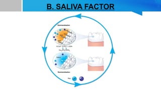 B. SALIVA FACTOR
 