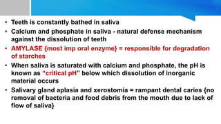 • Teeth is constantly bathed in saliva
• Calcium and phosphate in saliva - natural defense mechanism
against the dissolution of teeth
• AMYLASE {most imp oral enzyme} = responsible for degradation
of starches
• When saliva is saturated with calcium and phosphate, the pH is
known as “critical pH” below which dissolution of inorganic
material occurs
• Salivary gland aplasia and xerostomia = rampant dental caries {no
removal of bacteria and food debris from the mouth due to lack of
flow of saliva}
 