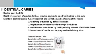 II. DENTINAL CARIES
• Begins from the DEJ
• Rapid involvement of greater dentinal tubules- each acts as a tract leading to the pulp
• Events in dentinal caries- 1. non bacterial, pre cavitation and softening of the matrix
2. widening of tubules by demineralization
3. migration of pioneer bacteria through the tubules
4. distortion of the tubules by the expanding masses of bacterial mass
5. breakdown of matrix and its progressive disintergration
 