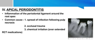 IV. APICAL PERIODONTITIS
• Inflammation of the periodontal ligament around the
root apex
• Common cause - 1. spread of infection following pulp
necrosis
2. occlusal trauma
3. chemical irritation (over extended
RCT medications)
 
