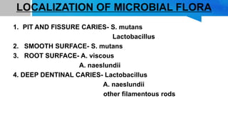 LOCALIZATION OF MICROBIAL FLORA
1. PIT AND FISSURE CARIES- S. mutans
Lactobacillus
2. SMOOTH SURFACE- S. mutans
3. ROOT SURFACE- A. viscous
A. naeslundii
4. DEEP DENTINAL CARIES- Lactobacillus
A. naeslundii
other filamentous rods
 