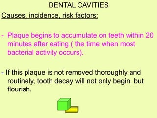 DENTAL CAVITIES
Causes, incidence, risk factors:
- Plaque begins to accumulate on teeth within 20
minutes after eating ( the time when most
bacterial activity occurs).
- If this plaque is not removed thoroughly and
routinely, tooth decay will not only begin, but
flourish.
 