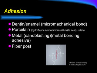 Adhesion Dentin/enamel (micromachanical bond) Porcelain  (hydrofluoric acid,Ammoniumfluoride acid)+ silane Metal (sandblasting)(metal bonding adhesive) Fiber post Adhesive cement bonding to tooth ,alloy structure 