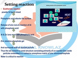  Exothermic reaction
powder & liquid mixed
Phosphoric acid attacks the surface
Release of zinc ions & reaction of Al
with phosphoric acid
Al & Zn ions react with phosphoric acid
Zinc alumina phosphate gel
And surrounds with un reacted particle
Thus the set cement is cored structure consisting primarily of un-reacted Zinc oxide
particles embedded in a cohesive amorphous matrix of zinc aluminophosphate
Water is critical to reaction
 