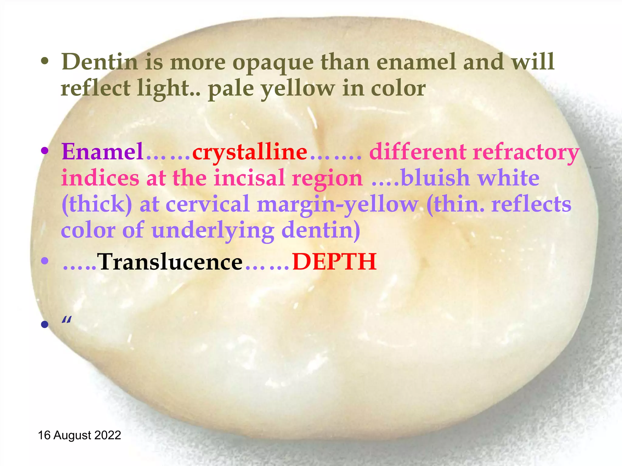 • Dentin is more opaque than enamel and will
reflect light.. pale yellow in color
• Enamel……crystalline……. different refractory
indices at the incisal region ….bluish white
(thick) at cervical margin-yellow (thin. reflects
color of underlying dentin)
• …..Translucence……DEPTH
• “
16 August 2022
 