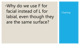 Charting
◦Why do we use F for
facial instead of L for
labial, even though they
are the same surface?
 