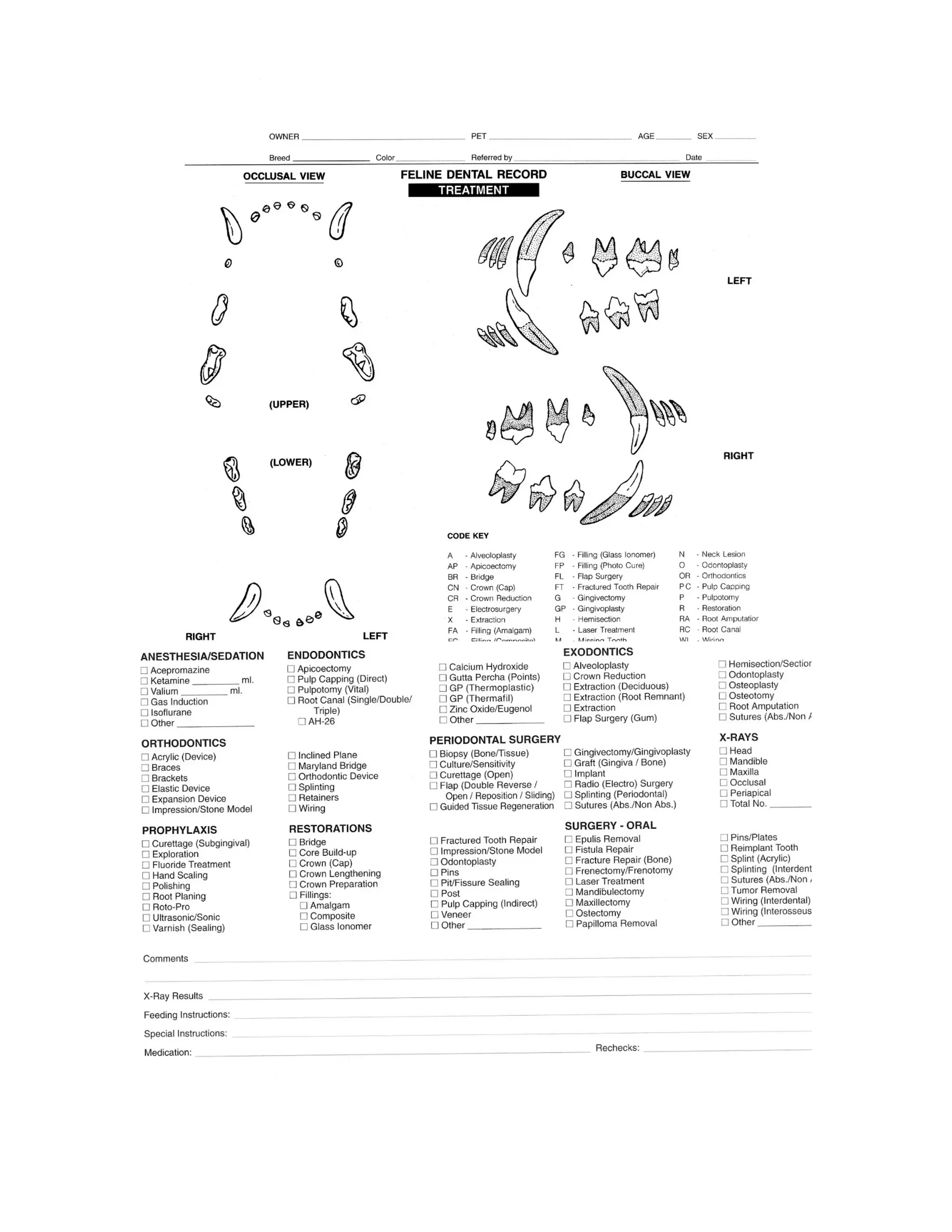 Dental charts | PDF