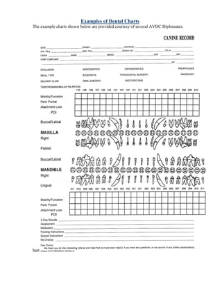 Canine Dental Chart Template