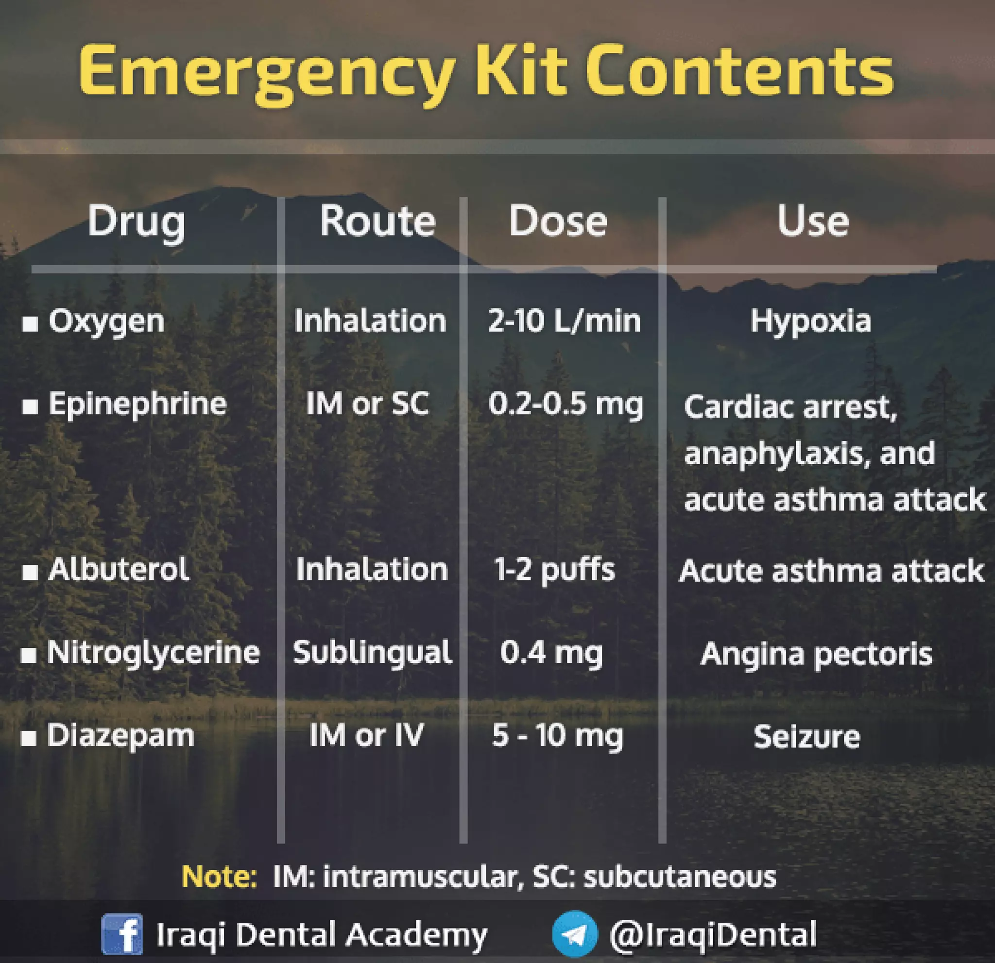 Dental Emergency Kit Content PPT
