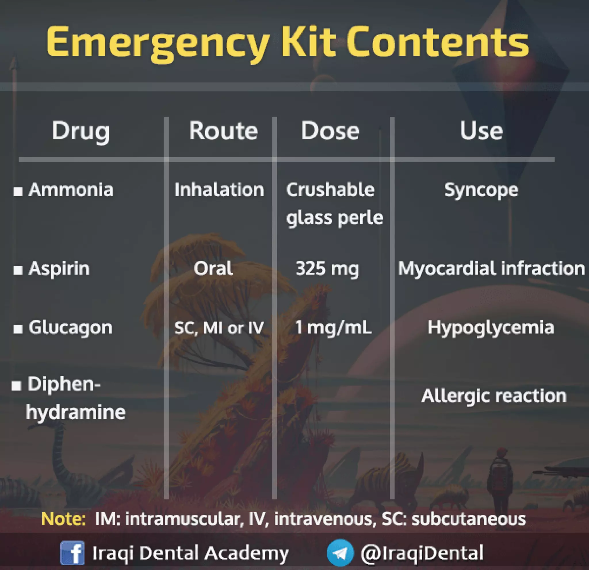 Dental Emergency Kit Content PPT