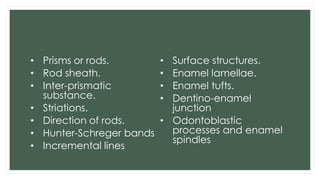 Presentation on Dental Enamel and Amelogenesis | PDF