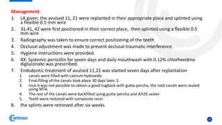 32
Management:
1. LA given, the avulsed 11, 21 were replanted in their appropriate place and splinted using
a flexible 0.5 mm wire
2. 31,41, 42 were first positioned in their correct place, then splinted using a flexible 0.5
mm wire
3. Radiography was taken to ensure correct positioning of the teeth
4. Occlusal adjustment was made to prevent occlusal traumatic interference.
5. Hygiene instructions were provided.
6. RX: Systemic penicillin for seven days and daily mouthwash with 0.12% chlorhexidine
digluconate was prescribed.
7. Endodontic treatment of avulsed 11,21 was started seven days after replantation
1. canals were filled with calcium hydroxide.
2. Final filling of the canals took place 30 days later. S
3. ince it was not possible to obtain a good tugback with gutta-percha, the root canals were sealed
using MTA.
4. The rest of the canals were backfilled using gutta-percha and AH26 sealer
5. Teeth were restored with composite resin
8. the splints were removed after six weeks
 