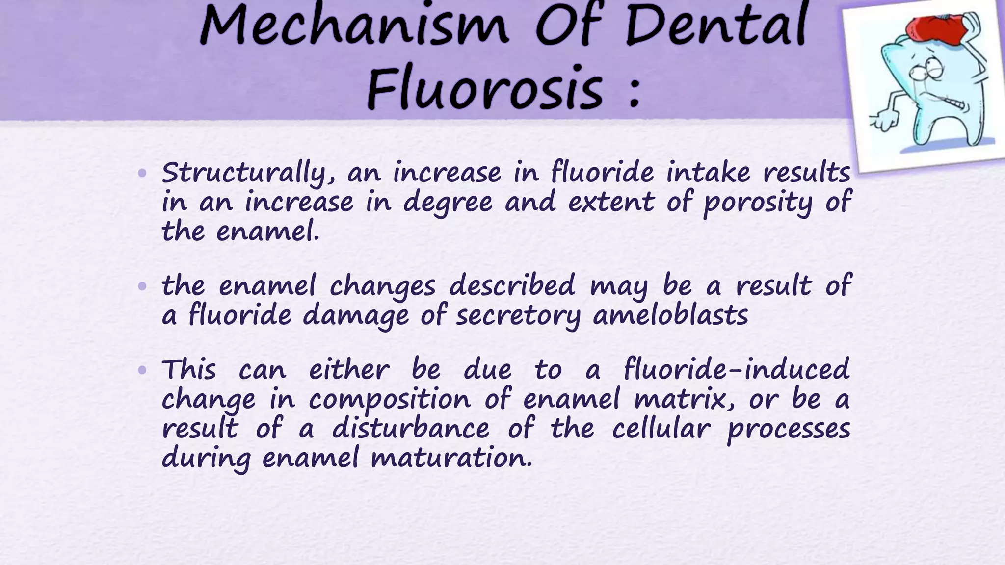 • Structurally, an increase in fluoride intake results
in an increase in degree and extent of porosity of
the enamel.
• the enamel changes described may be a result of
a fluoride damage of secretory ameloblasts
• This can either be due to a fluoride-induced
change in composition of enamel matrix, or be a
result of a disturbance of the cellular processes
during enamel maturation.
 