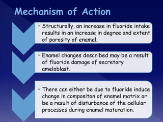 • Structurally, an increase in fluoride intake
results in an increase in degree and extent
of porosity of enamel.
• Enamel changes described may be a result
of fluoride damage of secretory
ameloblast.
• There can either be due to fluoride induce
change in compositon of enamel matrix or
be a result of disturbance of the cellular
processes during enamel maturation.
 