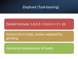 Elephant (Tusk-bearing)
Dental Formula: 1.0.0.3 / 0.0.0.3 × 2 = 26
Incisors form tusks, molars adapted for
grinding.
Horizontal replacement of teeth.
 