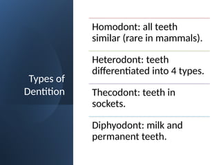 Types of
Dentition
Homodont: all teeth
similar (rare in mammals).
Heterodont: teeth
differentiated into 4 types.
Thecodont: teeth in
sockets.
Diphyodont: milk and
permanent teeth.
 