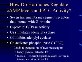 How Do Hormones Regulate
cAMP levels and PLC Activity?
• Seven transmembrane segment receptors
that interact with G-proteins
• G-protein: GTPase activity
• Gs stimulates adenylyl cyclase
• Gi inhibits adenylyl cyclase
• Gq activates phospholipase C (PLC)
– Leads to generation of two messengers
• Diacylglycerol, activates PKC
• Inositol 1,4,5 trisphosphate, releases Ca2+ from
intracellular stores in the ER
 
