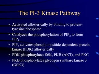 The PI-3 Kinase Pathway
• Activated allosterically by binding to protein-
tyrosine phosphate
• Catalyzes the phosphorylation of PIP2 to form
PIP3
• PIP3 activates phosphoinositide-dependent protein
kinase (PDK) allosterically
• PDK phosphorylates S6K, PKB (AKT), and PKC
• PKB phosphorylates glycogen synthase kinase 3
(GSK3)
 