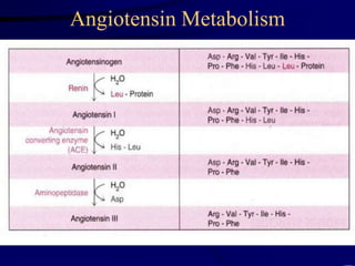 Angiotensin Metabolism
 