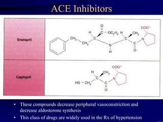 ACE Inhibitors
• These compounds decrease peripheral vasoconstriction and
decrease aldosterone synthesis
• This class of drugs are widely used in the Rx of hypertension
 