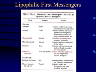 Lipophilic First Messengers
 