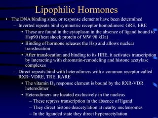 Lipophilic Hormones
• The DNA binding sites, or response elements have been determined
– Inverted repeats bind symmetric receptor homodimers: GRE, ERE
• These are found in the cytoplasm in the absence of ligand bound to
Hsp90 (heat shock protein of MW 90 kDa)
• Binding of hormone releases the Hsp and allows nuclear
translocation
• After translocation and binding to its HRE, it activates transcription
by interacting with chromatin-remodeling and histone acetylase
complexes
– Direct repeats bind with heterodimers with a common receptor called
RXR: VDRE, TRE, RARE
• The vitamin D3 response element is bound by the RXR-VDR
heterodimer
• Heterodimers are located exclusively in the nucleus
– These repress transcription in the absence of ligand
– They direct histone deacetylation at nearby nucleosomes
– In the liganded state they direct hyperacetylation
 