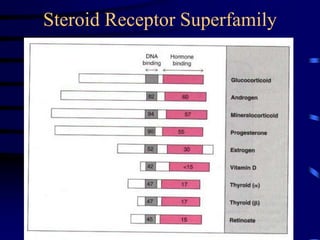 Steroid Receptor Superfamily
 