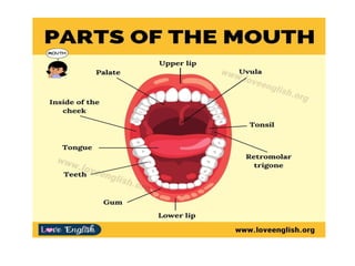 DENTAL HYGIENE for school going students | PPTX