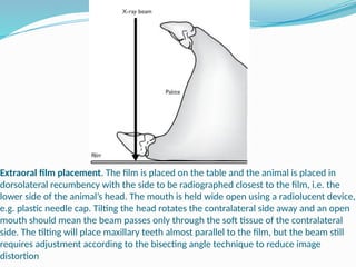 Angled Recumbency Comprehensive Guide to Dental Instrumentation and Radiology in ...