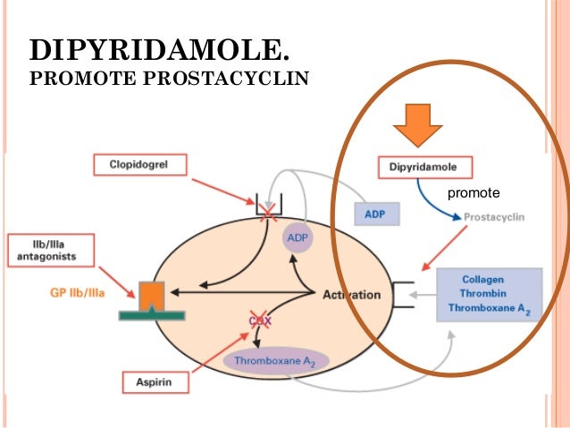 periactin child