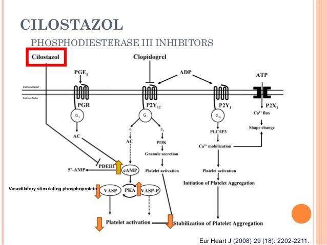 Prednisone intensol cost