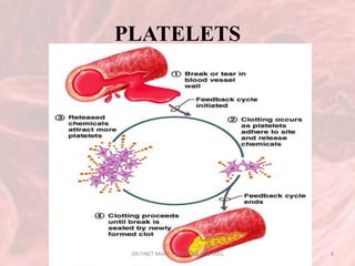 Tooth Platelets Dental management of patents with haematological disorders | PDF
