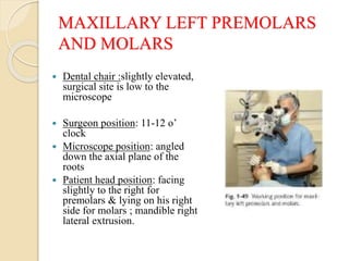 MAXILLARY LEFT PREMOLARS
AND MOLARS
 Dental chair :slightly elevated,
surgical site is low to the
microscope
 Surgeon position: 11-12 o’
clock
 Microscope position: angled
down the axial plane of the
roots
 Patient head position: facing
slightly to the right for
premolars & lying on his right
side for molars ; mandible right
lateral extrusion.
 