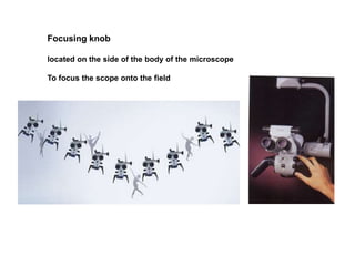 Focusing knob
located on the side of the body of the microscope
To focus the scope onto the field
 