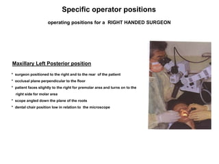 Specific operator positions
operating positions for a RIGHT HANDED SURGEON
Maxillary Left Posterior position
* surgeon positioned to the right and to the rear of the patient
* occlusal plane perpendicular to the floor
* patient faces slightly to the right for premolar area and turns on to the
right side for molar area
* scope angled down the plane of the roots
* dental chair position low in relation to the microscope
 