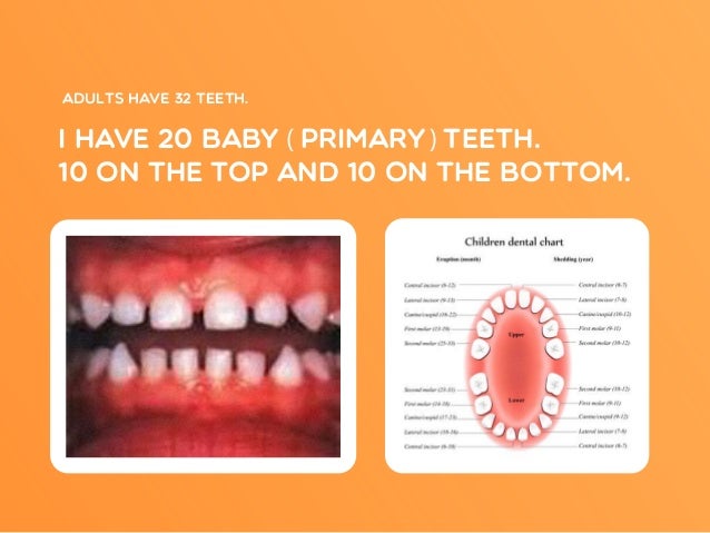 dental health presentation for kids kids presentation