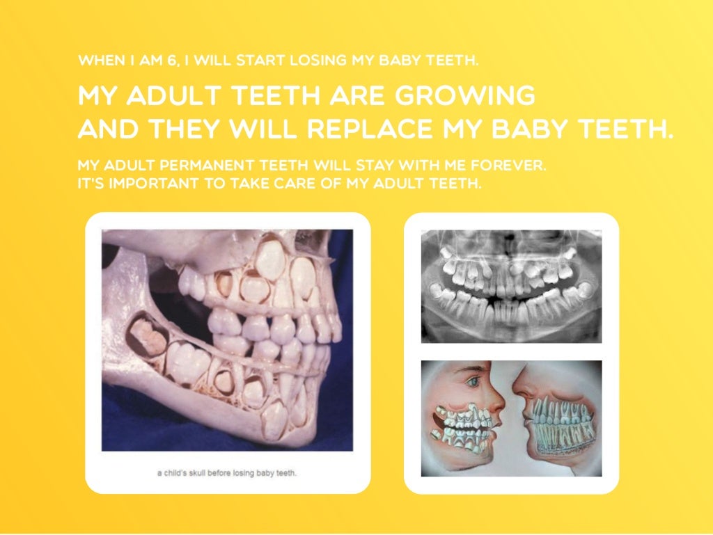Dental Health Presentation For Kids