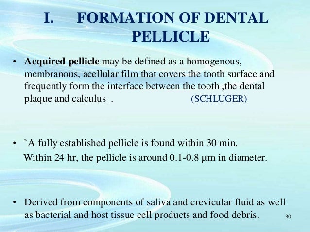 Dental Plaque