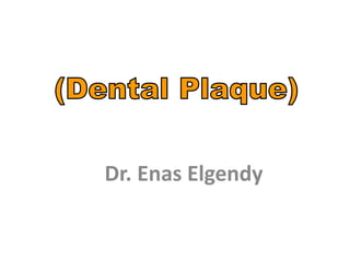 Dr. Enas Elgendy
 